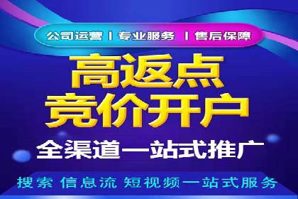 电商成功案例：竞价推广助力品牌崛起