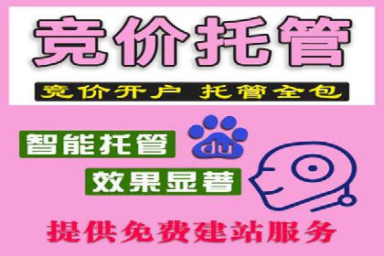 SEM代运营实战：打造个性化广告投放方案